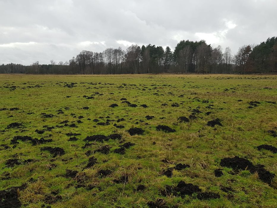 Piękna dzialka 2,9 ha nad rzeką Piławką w otoczeniu lasu