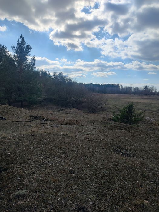 Продам 3,5 ГА в Рожнах, забудова, ліс.