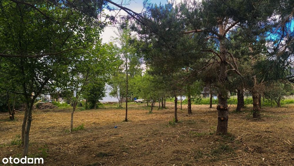 Działka budowlana 1750 m², blisko lasu BRZEZINY/BILCZA