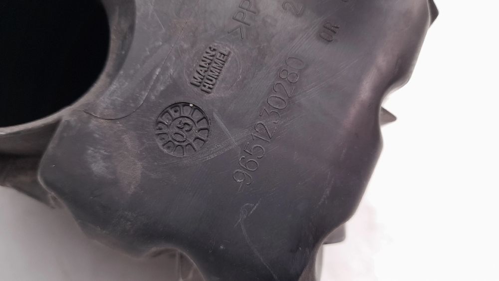 Caixa filtro ar PEUGEOT 307 CC (3B)