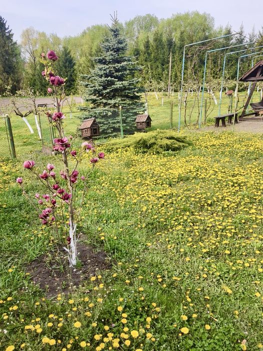Будинок село Кінашів 40 км. від Івано-франківська