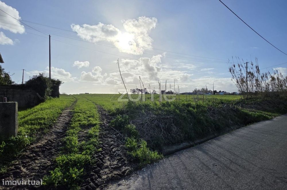 Terreno c/ Projeto Aprovado para Moradia T3 Térrea | Piscina | 1500m2