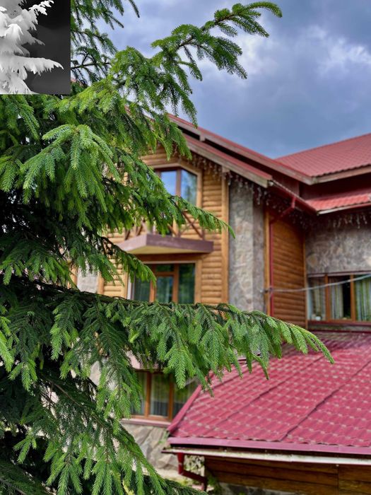 Відпочинок басейн  Карпати /Буковель