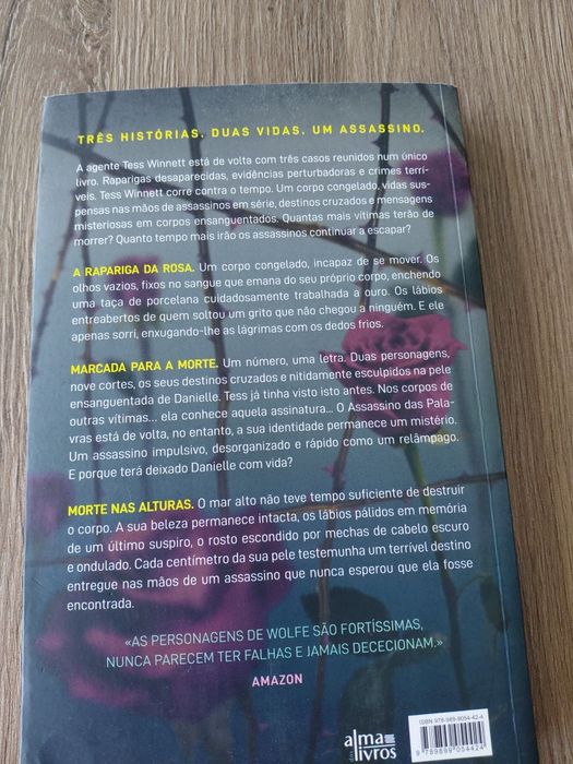 A Rapariga da Rosa - Leslie Wolfe
