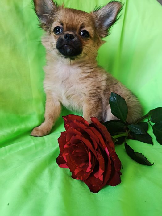 Подарунок закоханим!!!