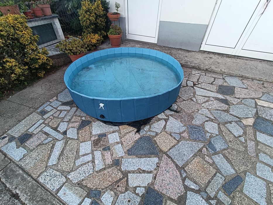 Piscina para crianças / cães com 180 cm x 30 cm