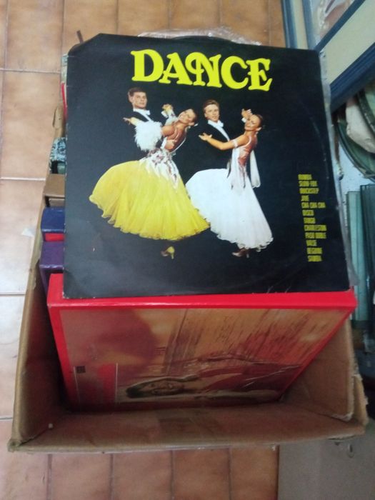 Discos em vinil. lote 40€ só o lote completo.