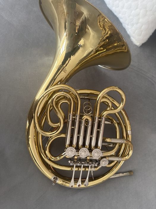 Trompa wiseman com vestigios de uso