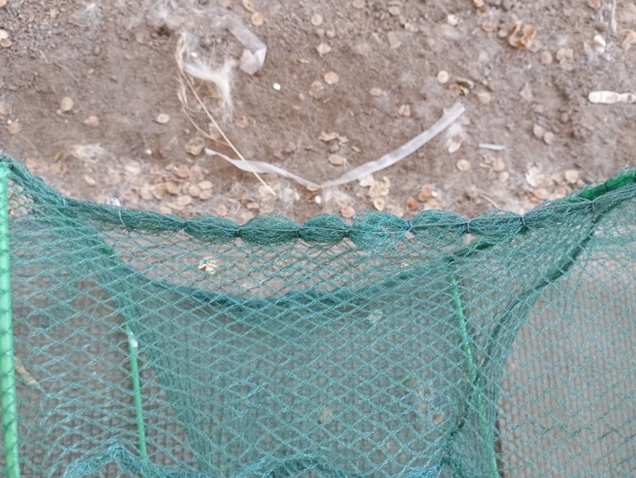 Раколовка гармошка 5.5 м, рачница, кишка