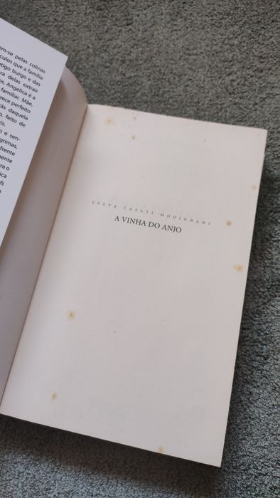 A vinha do anjo , sveva casati modignani