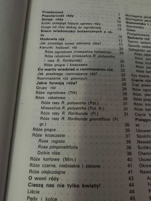 Poradnik dla miłośników róż W Gottschalk