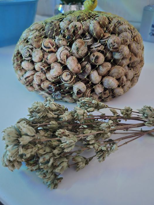 Sacas de caracois 1 kilo e 5 kilos para entregas ao domicilio