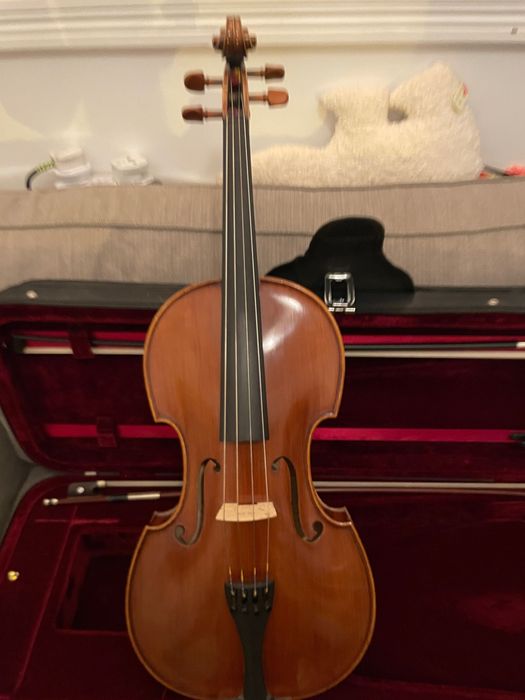 Excelente Viola Moderno 16”