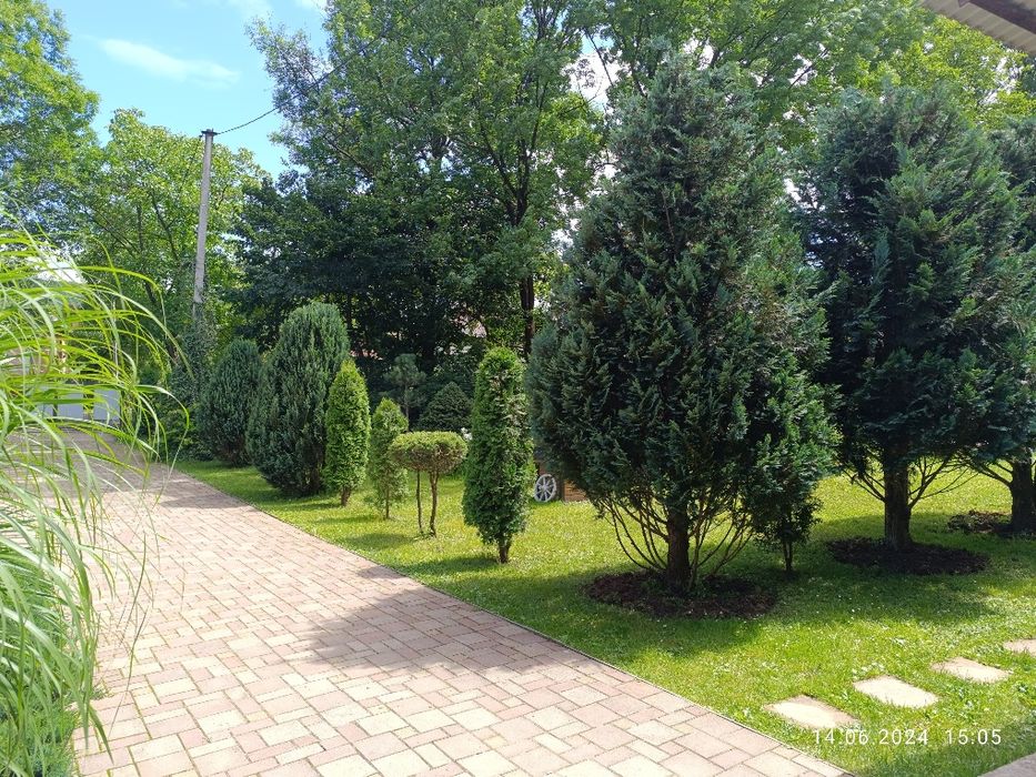 Відпочинок в Поляні . оренда житла.