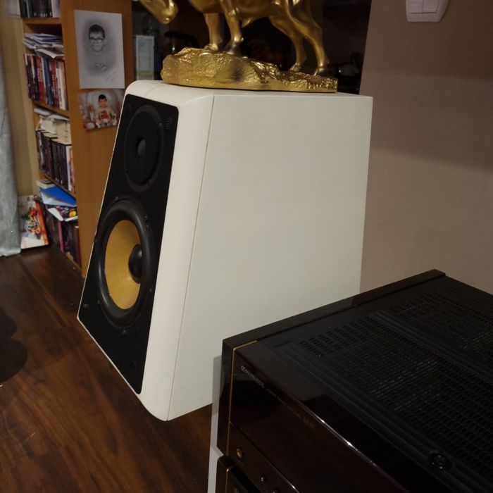 QLN Signature Biały Kruk