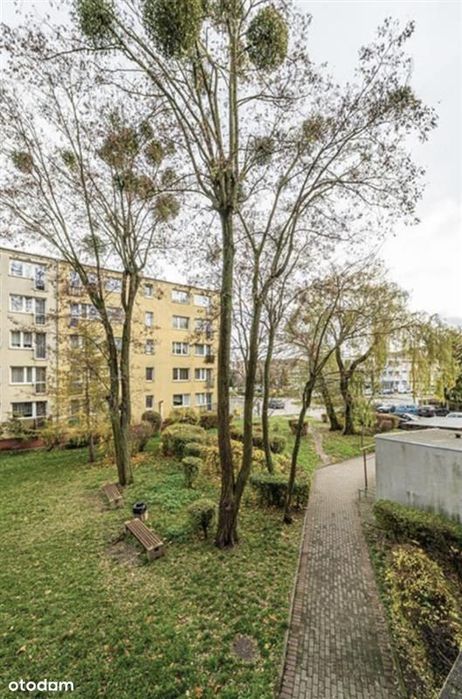 Mieszkanie - Gdynia Chylonia