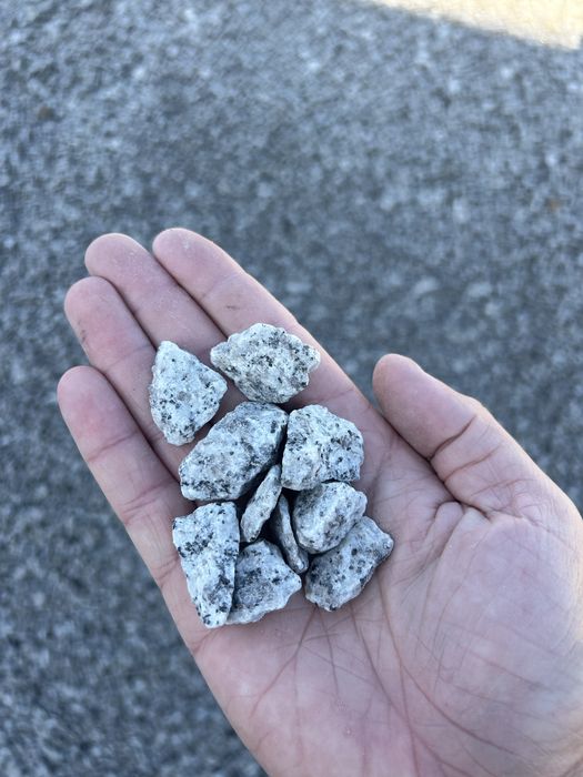 GRYS GRANITOWY DALMATYŃCZYK Szary Granit 8-16 Kamień do Akwarium 16-22