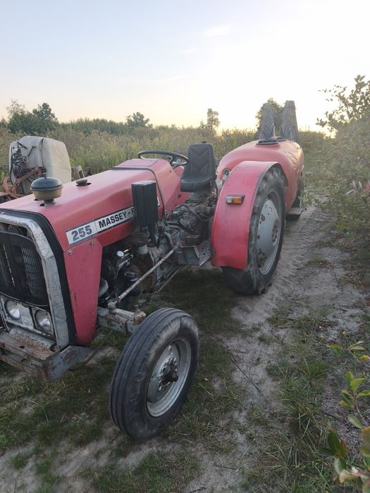Sprzedam ciągnik Massey Ferguson  235 3p sadowniczy  Hurliman  60Hp