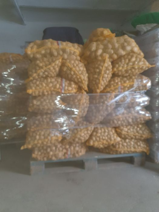 Ziemniaki paszowe,odpadowe