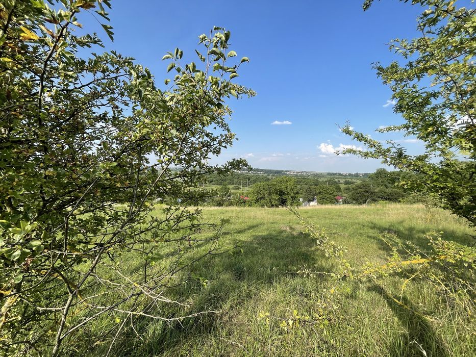 Продаж ділянки Великий Глибочок