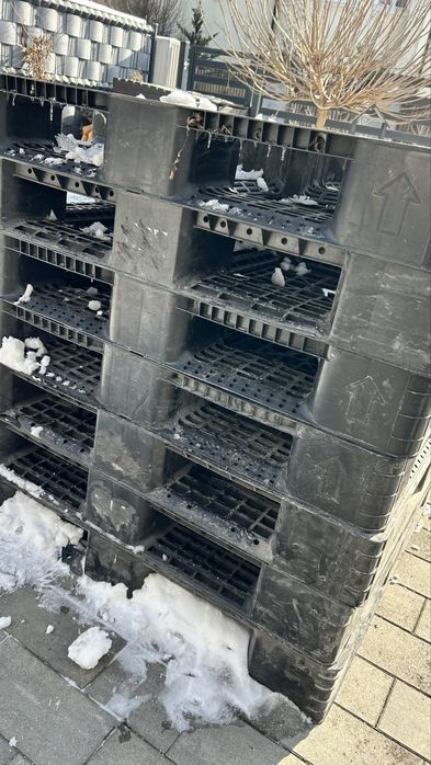 Oddam palety jednorazowe