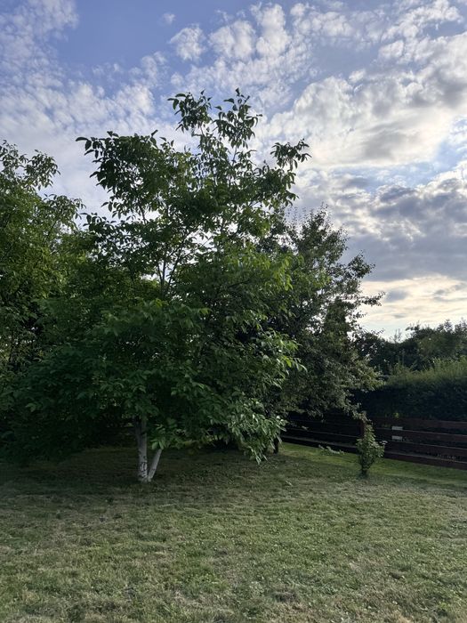 Działka ROD Zalesie 3 a