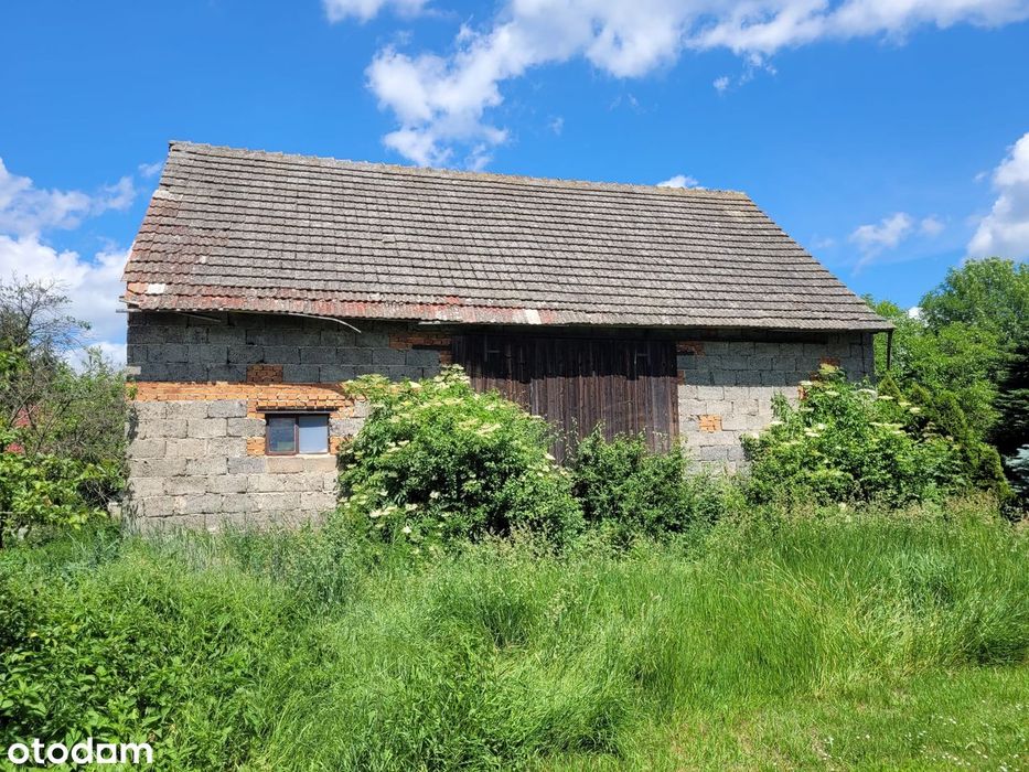 Działka ze stodołą w Stoszowicach - Widok 6