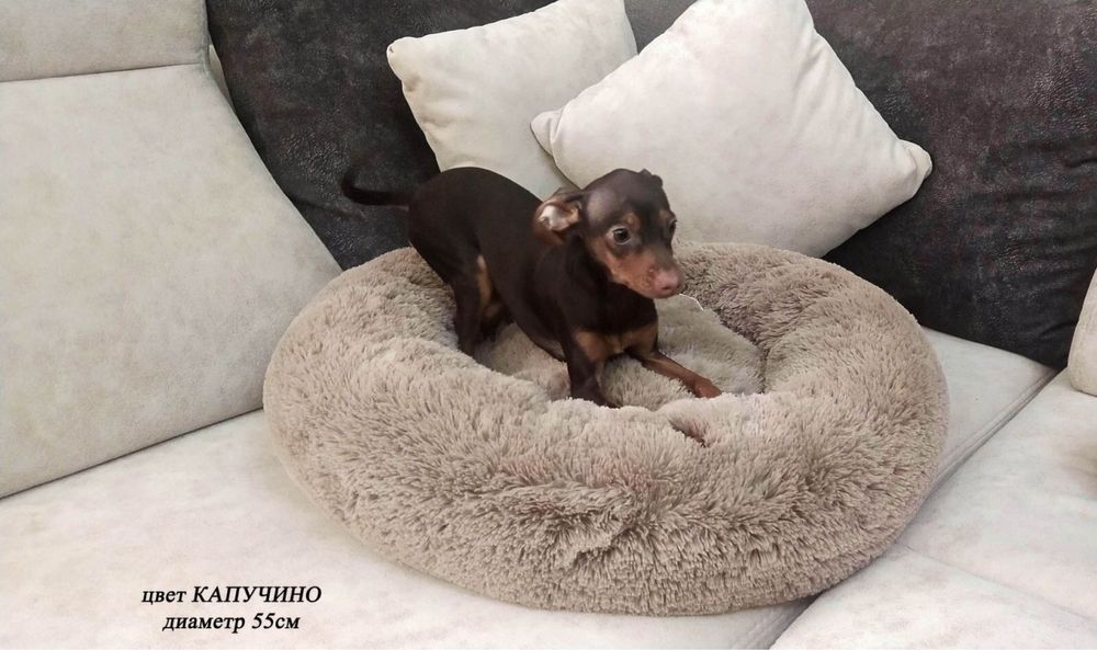 Лежаки і будиночки для котиків і песиків. Своє виробництво!!!