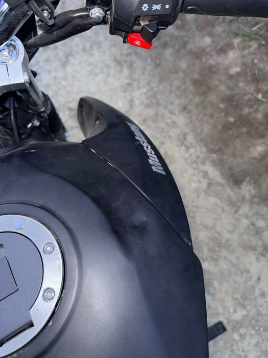 Мустанг регіон 200-9r 2025