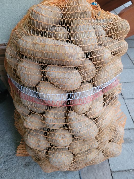 Ziemniaki z małego gospodarstwa (Soraya/Marabel/Sagitta)