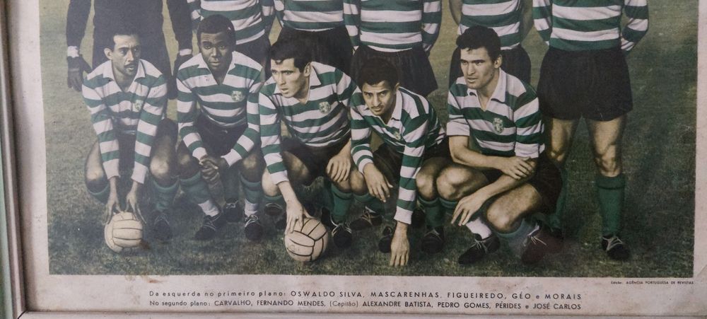 Quadro sporting campeao europa 1964