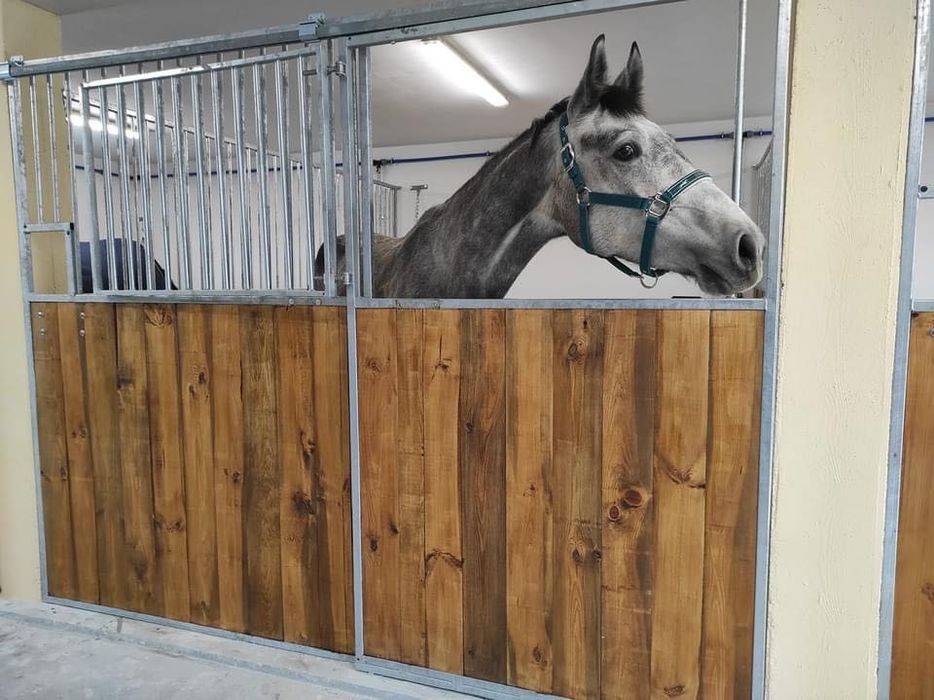 Boks dla konia, front boksu do stajni, boksy dla koni, stajnia fasada