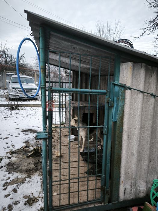 Просторий будинок в Карнаухівці