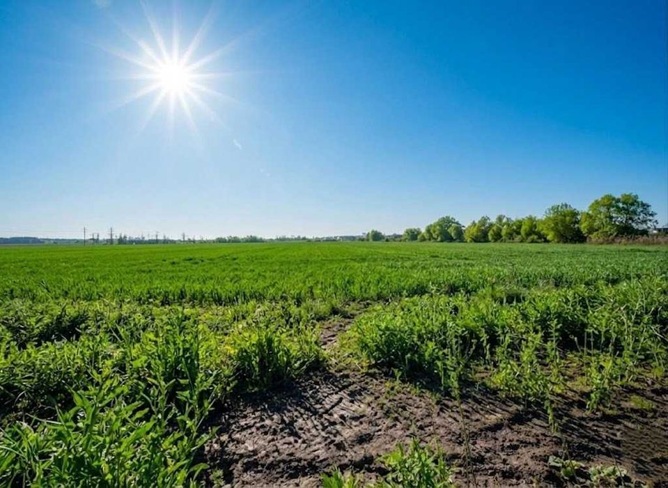Продаж земельної ділянки 10 соток - ОСГ. Біля лісу. с.Оліївка. ID:747