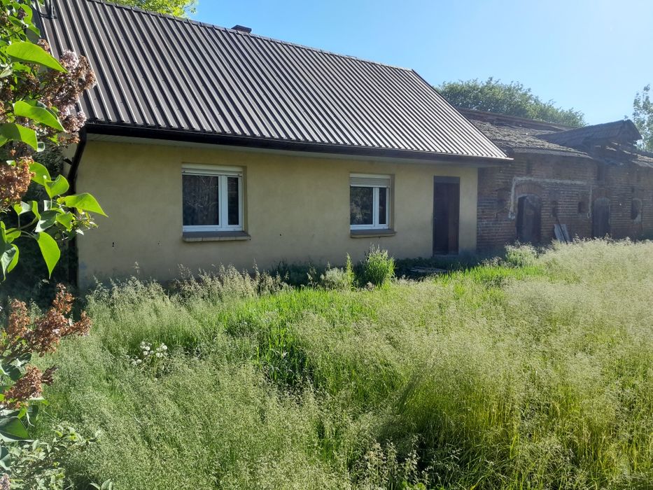 Zdjęcie 2