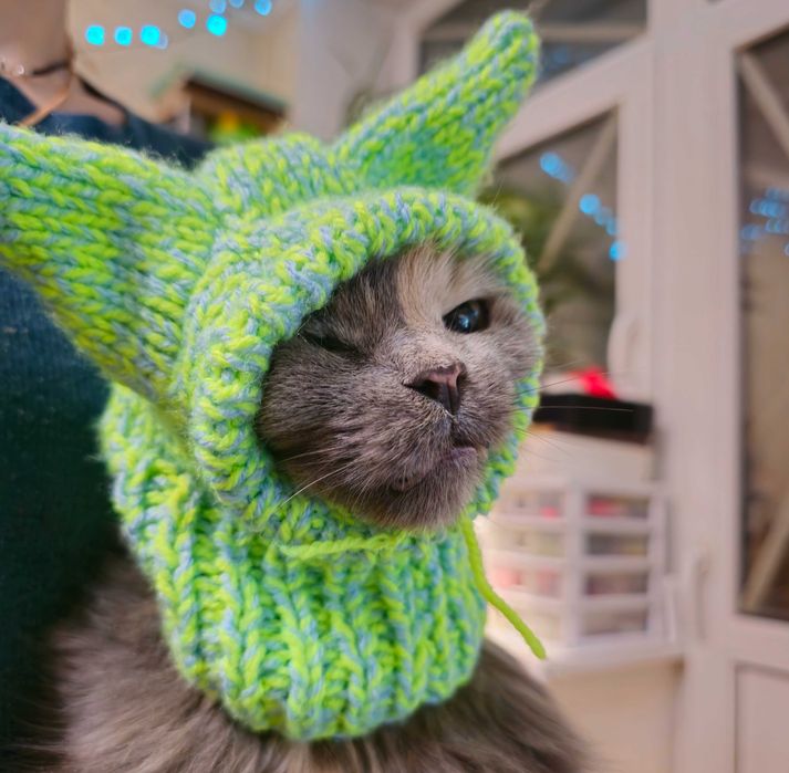 в'язана шапка ручної роботи для собак