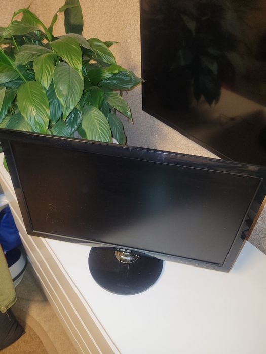 Монитор для компа ASUS