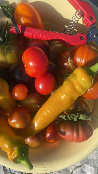 pomidory nadiona zeztaw