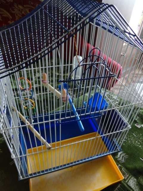 Клітка для птаха