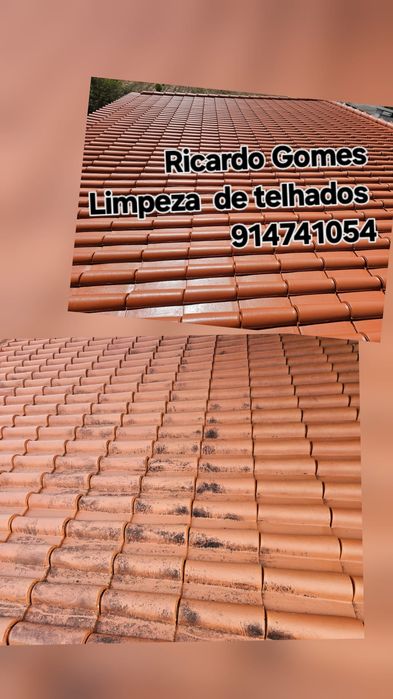 Limpeza de Telhados+Hidrofugação/Limp.Pavimentos/Pinturas/Canalização,