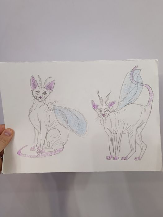 Малюнок, рисунок.