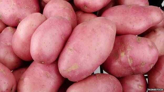 Vendo batatas novas