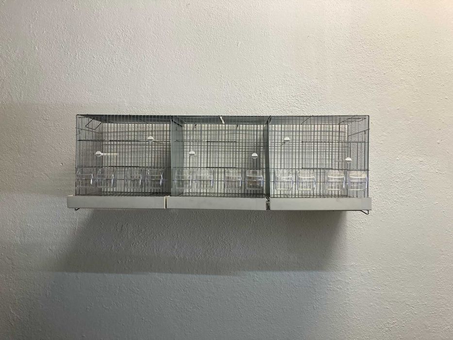 Viveiro Criação Nacional 124cm, 3 Divisórias, voadora, gaiola - NOVO