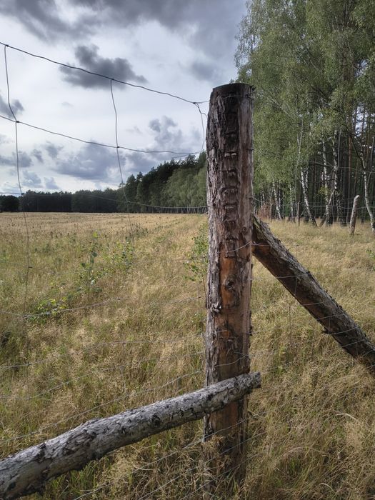 Sprzedam działki rolne zalesione z dotacją
