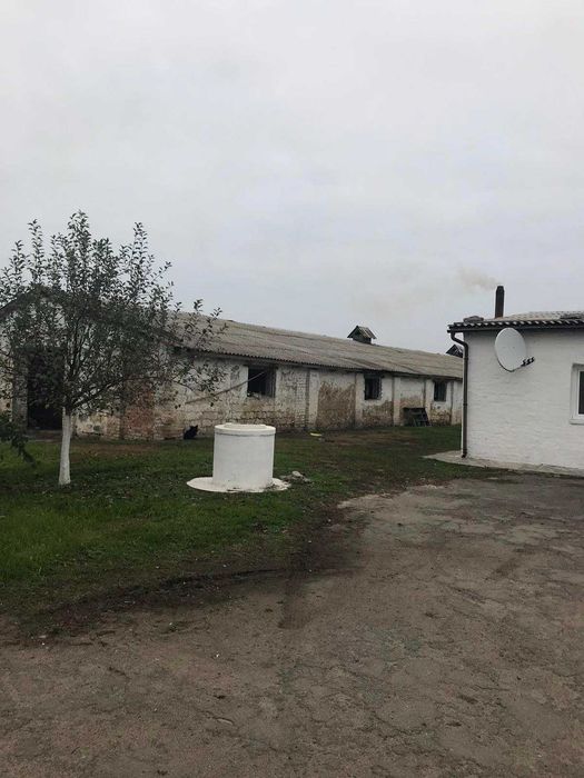 Фермерський комплекс