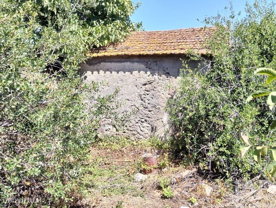 Casa de Campo em Brogueira, Parceiros de Igreja e Alcorochel