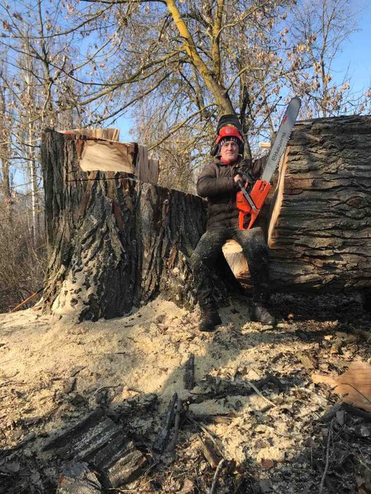 Спил аварійних дерев