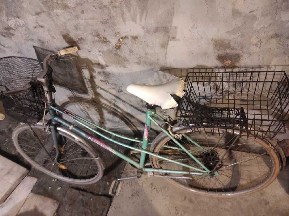 Rower damka koszyk przod