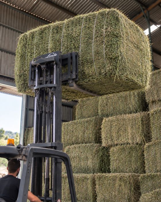 Feno Francês em Fardo Grande 500kg, Qualidade Superior