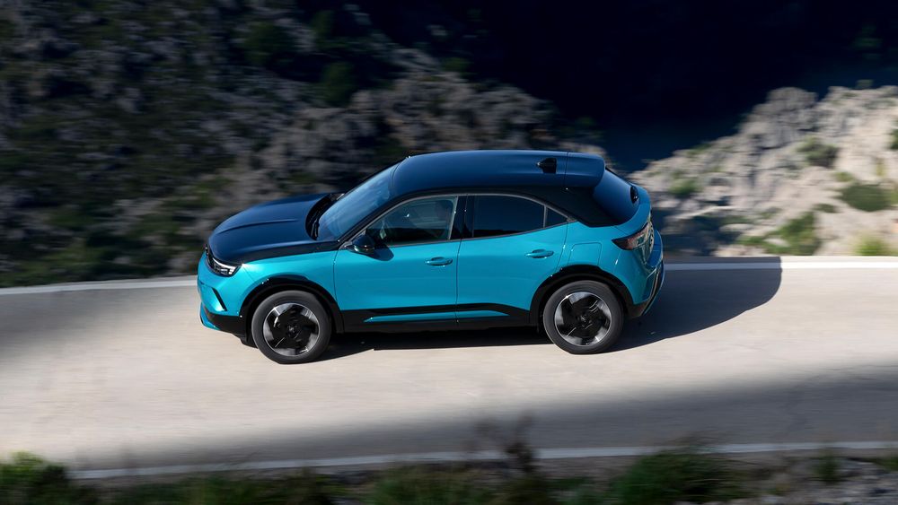 Zdjecie w galerii numer 1